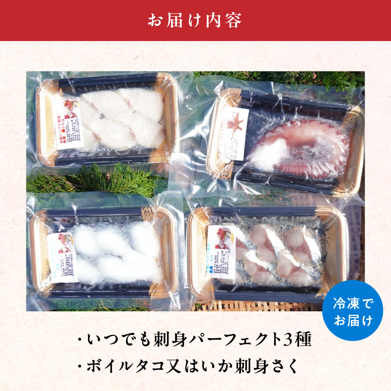 S059-021_天草わくわく旬魚刺身セットミニ（１人用）