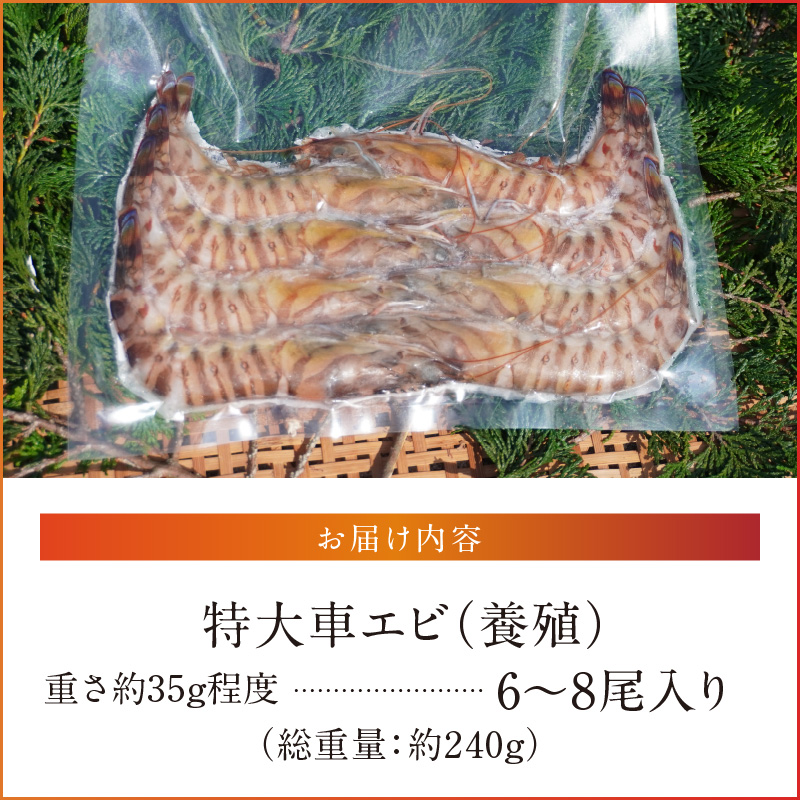 S059-024_特大 車エビ 1パック