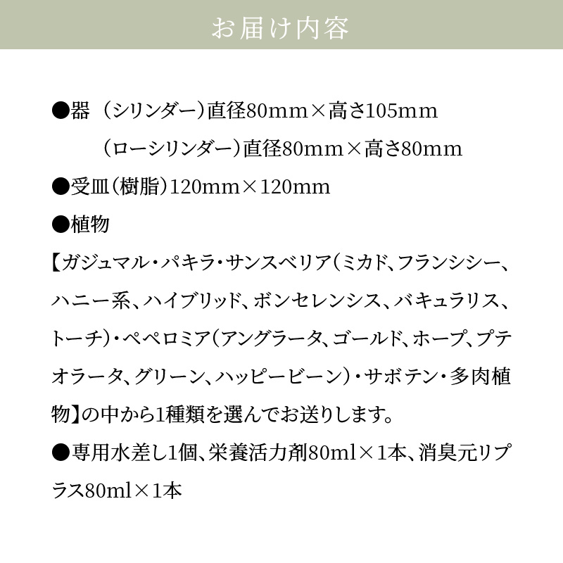 S060-110_【ふるさと納税限定】初心者の人にもお勧め！エコ・ポチ　トライアルセット
