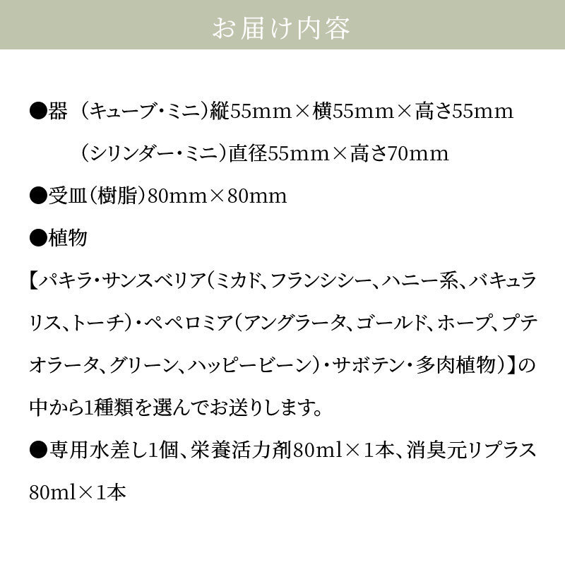 S060-111_【ふるさと納税限定】初心者の人にもお勧め！エコ・ポチ　トライアルセット・ミニ