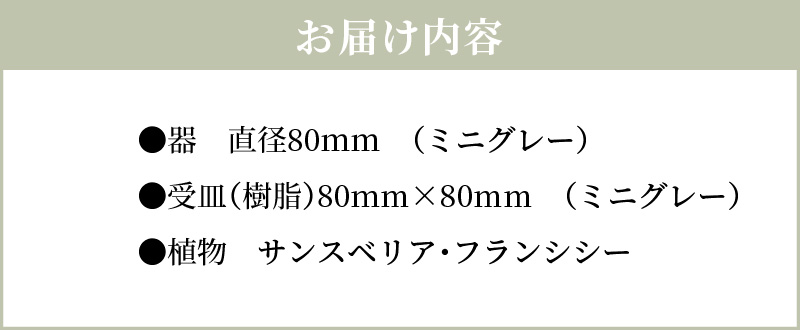 S060-115_エコ・ポチ　スフィア・ミニグレー　サンスベリア