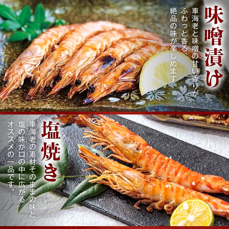 S065-004_活き〆冷凍車海老 1.5kg (500g×3パック)