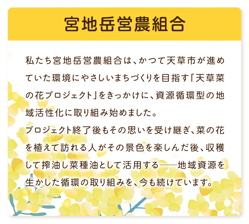 S094-002_天草市宮地岳産食用菜種油ナナシキブ2本