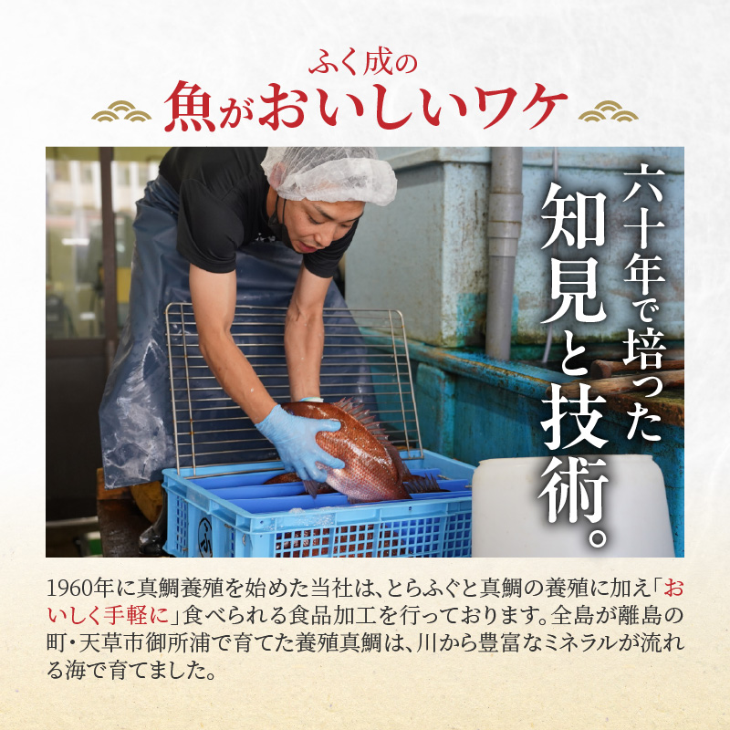 【セット】S106-046_選べる真鯛の晩酌セット（真鯛の炙り・鯛のかつ・刺身用サク） 真鯛の炙り・鯛のかつ・刺身用サク