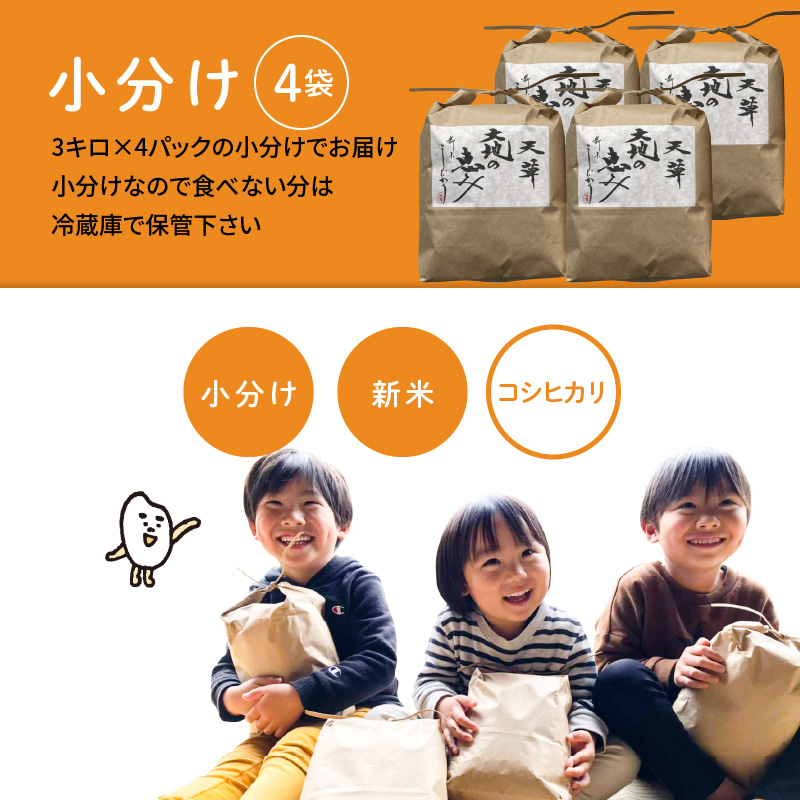 S108-004A_〈令和8年産〉熊本県天草産　天草の大地の恵み　新米コシヒカリ12㎏【先行予約】