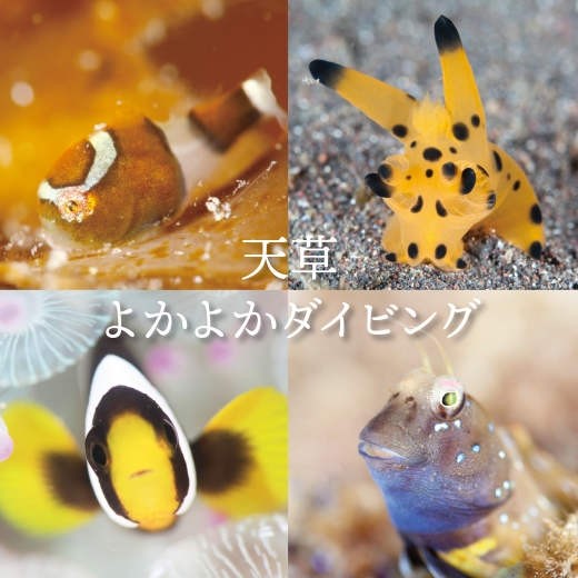 S134-001_よかよか体験チケット3,000円