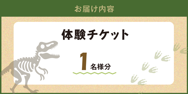 S174-001_化石ディグ利用券(1名様) 1枚