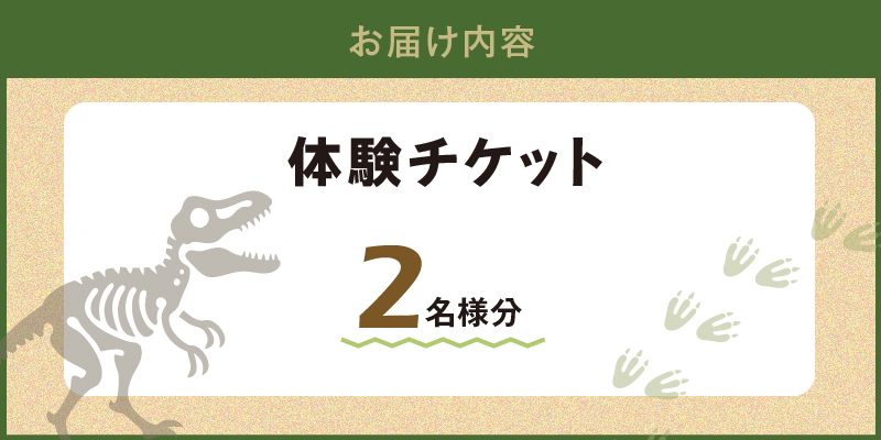 S174-002_化石ディグ利用券(2名様) 2枚