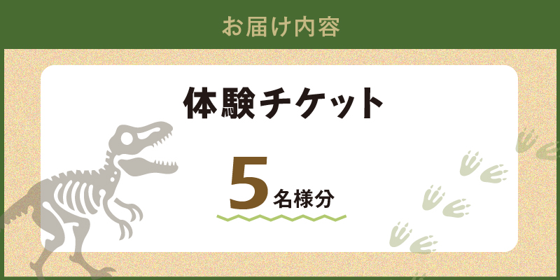 S174-005_化石ディグ利用券(5名様) 5枚