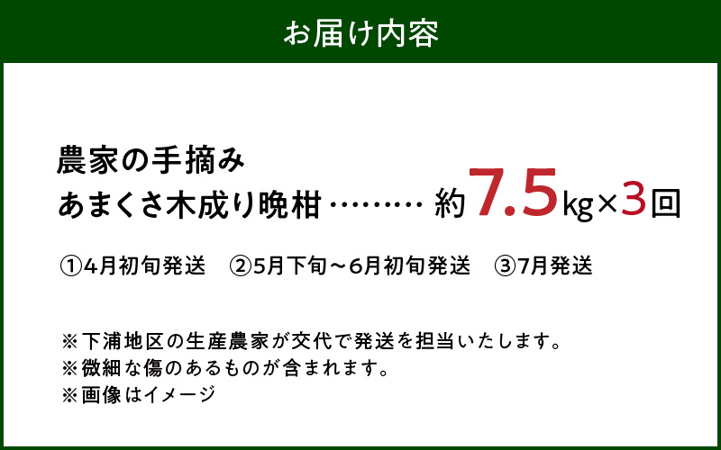 S040-024_【定期便3回】もぎたて！！ 愛情たっぷりあまくさ木成り晩柑食べ比べコース