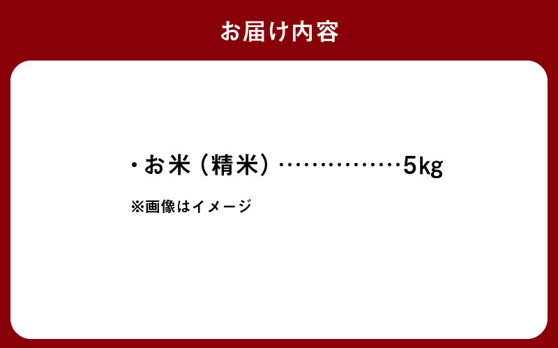 S061-009_令和7年産 特別栽培米 天草五ッ星米 精米 5kg