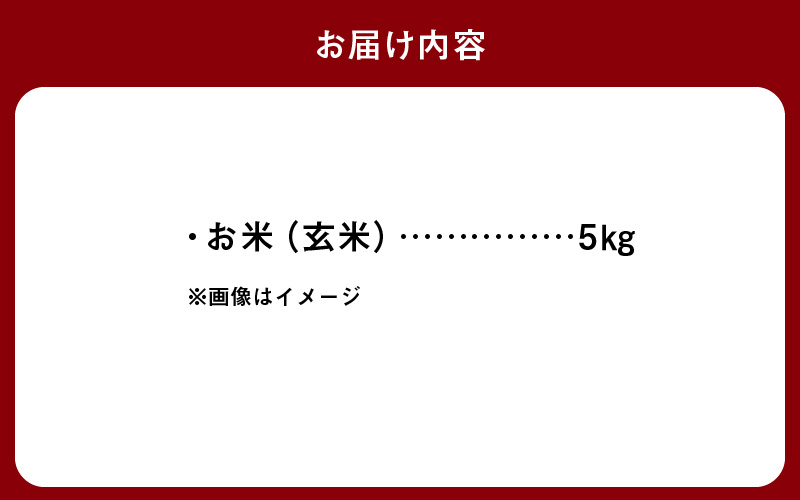 S061-010_令和7年産 特別栽培米 天草五ッ星米 玄米 5kg