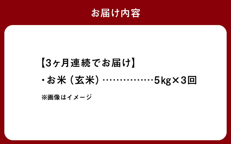 S061-T07_【3ヶ月定期便】特別栽培米 天草五ッ星米 玄米 5kg