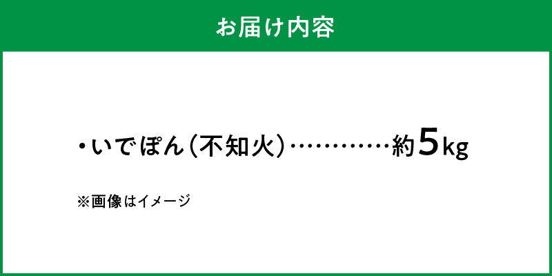 S086-002_井手尾さん家の濃厚いでぽん 不知火 約5kg 柑橘〈先行予約〉