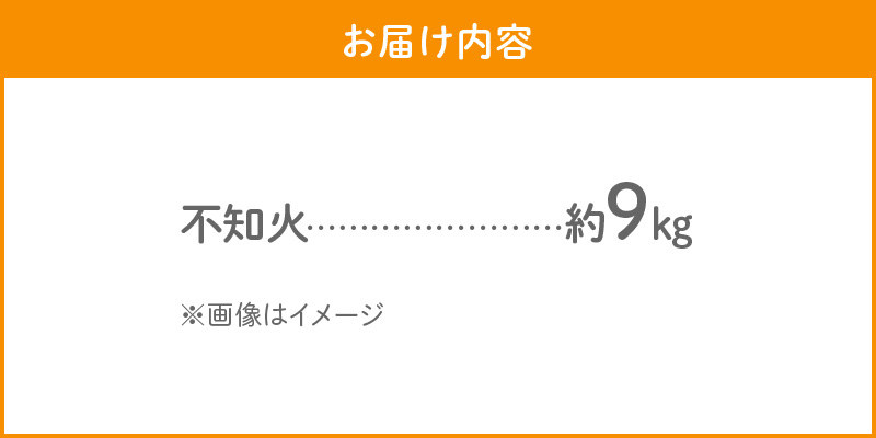 S086-007_訳あり 不知火 約 9kg 数量限定〈先行予約〉