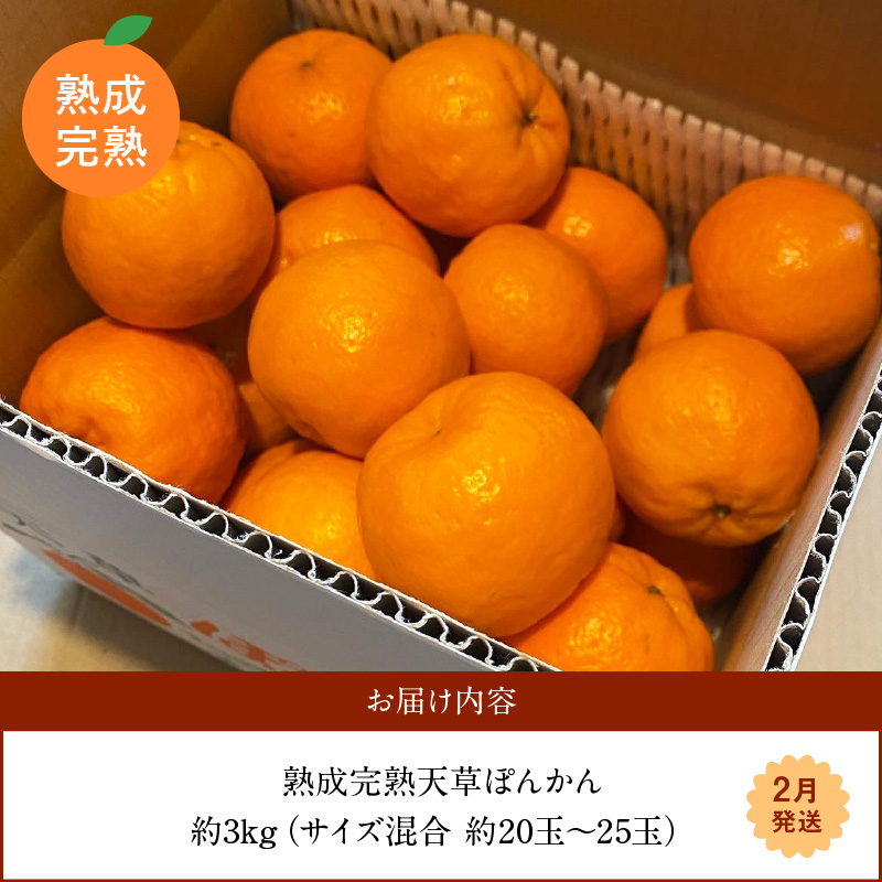 S117-004_香りを食す！熟成完熟天草ぽんかん 2月発送 約3kg秀品〈先行受付〉