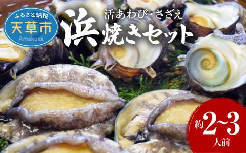S002-017_天草産 活あわび・さざえ　浜焼きセット　　約2～3人前