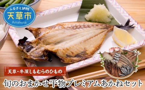 S009-002_天草・牛深 しもむらのひもの 旬のおまかせ干物プレミアムあかねセット