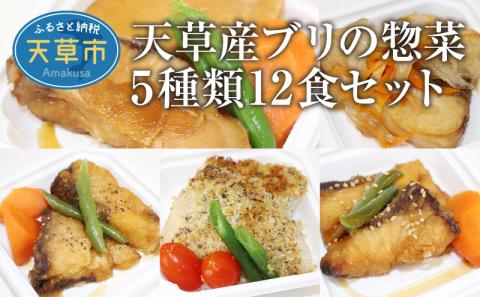 S010-064_ブリの惣菜5種類12食セット