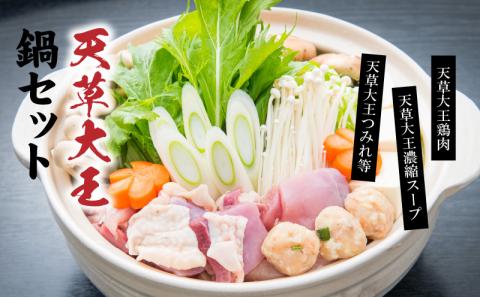 S011-014_天草大王鍋セット(天草大王鶏肉・天草大王濃縮スープ・天草大王つみれ等) 各2P