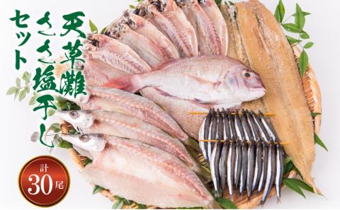 S011-022_天草灘ささ塩干しセット(天然鯛、あじ、カマスのささ塩干し等)
