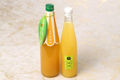 S024-009_【天草晩柑】リキュール＆ストレートジュースセット