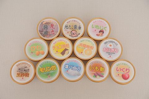 S030-001_地アイス詰め合せ 12個(塩バニラ・モリンガ等、季節の地アイス)