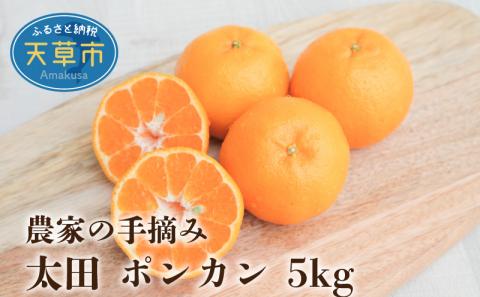 S040-005_農家の手摘み 太田 ポンカン 約5kg〈先行受付〉