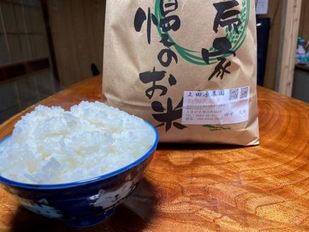 S051-004_【令和7年産】特別栽培米 特別大地米 精米 5kg