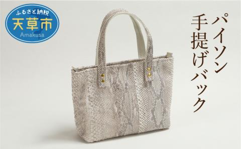 S056-012_パイソン手提げバック