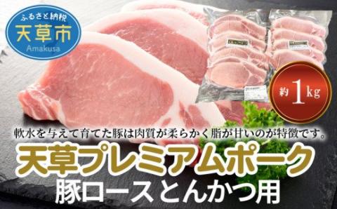 S058-020_天草プレミアムポーク とんかつ用 ロース 8枚 約1kg