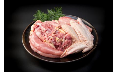 S081-011_天草大王1羽セット（オス）