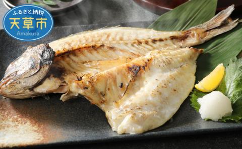 S113-001_まるまのひもの