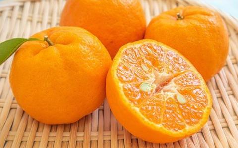 S053-004_天草産 ぽんかん(サンゴールド)5kg〈先行受付〉