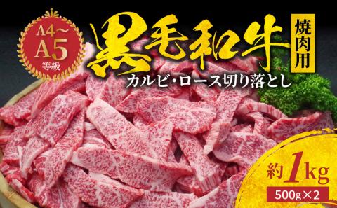 S001-024_黒毛和牛 焼肉 カルビ ロース 切り落とし 1kg
