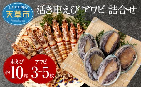 S002-003_活車海老とアワビ詰合せ 車海老 約10尾 アワビ 3～5枚