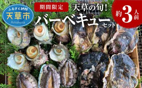 S002-020_【期間限定】天草の旬！バーベキューセット　約3人前
