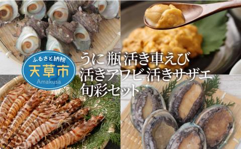 S002-005_旬彩セット(活き車海老・活きあわび・活きサザエ・殻出し生うに・天然塩)