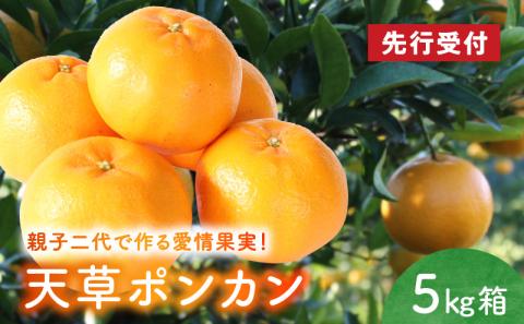S142-001_天草ポンカン 約5kg箱【先行受付】