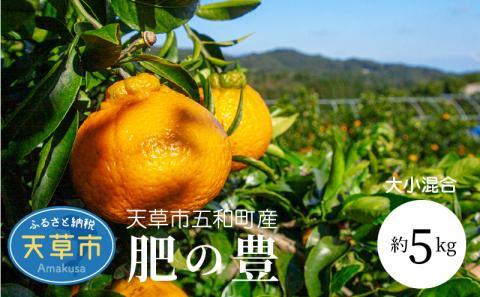 S097-002_天草市五和町産　肥の豊　約5kg〈先行受付〉