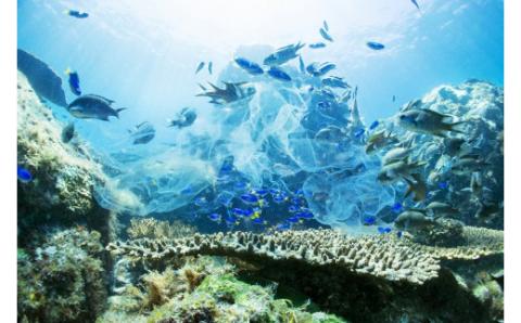 S134-005_よかよか体験チケット30,000円