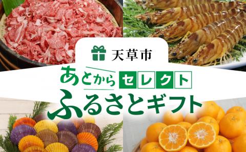 S999-006_あとからセレクト【ふるさとギフト】６万円