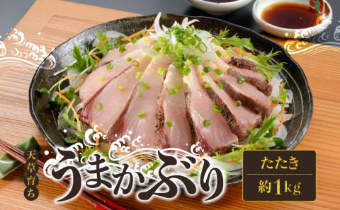 S137-006_【天草育ち】活じめ！うまかぶりたたき2節　約1kg（切るだけ、手間いらず）