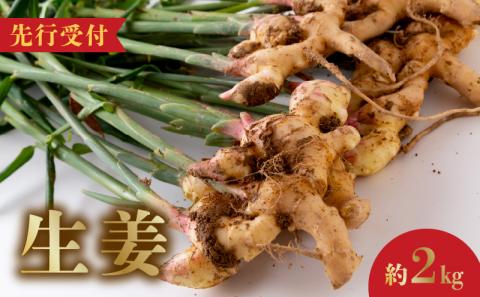 S143-004_生姜約2kg【先行受付】