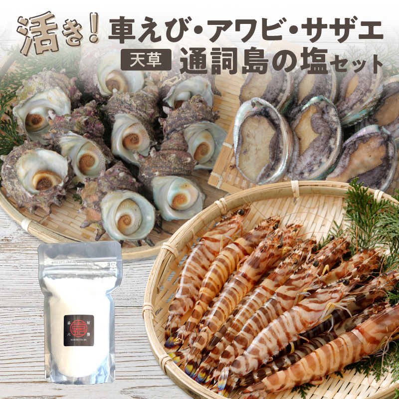 S002-004_蒼海セット(活き車海老・活きあわび・活きサザエ・天然塩)