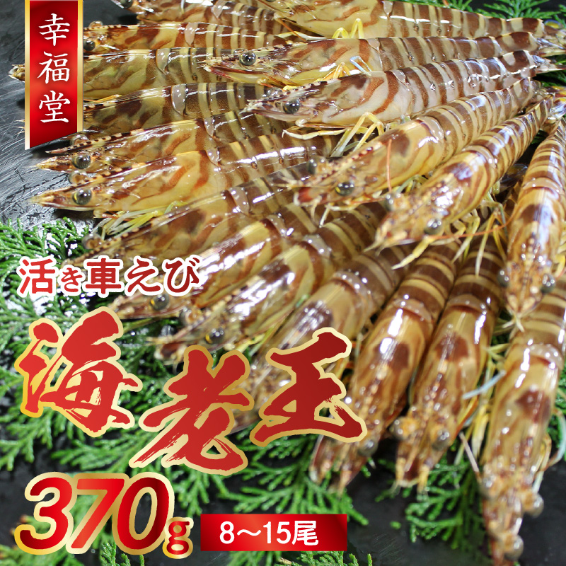 S005-005_【鮮度抜群】《美味しさの極み》天草産・幸福堂の活き車えび『海老王』（370g）〈先行予約〉