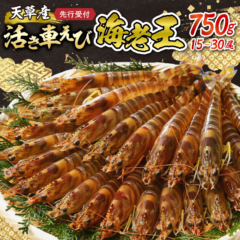 S005-007_【鮮度抜群】《美味しさの極み》天草産・幸福堂の活き車えび『海老王』（750g）〈先行予約〉