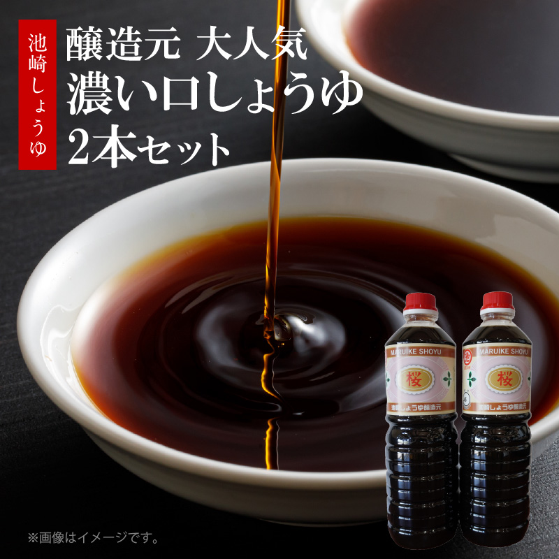 S022-005_池崎しょうゆ醸造元 大人気 濃い口しょうゆ 2本セット 2本セット（濃い口）