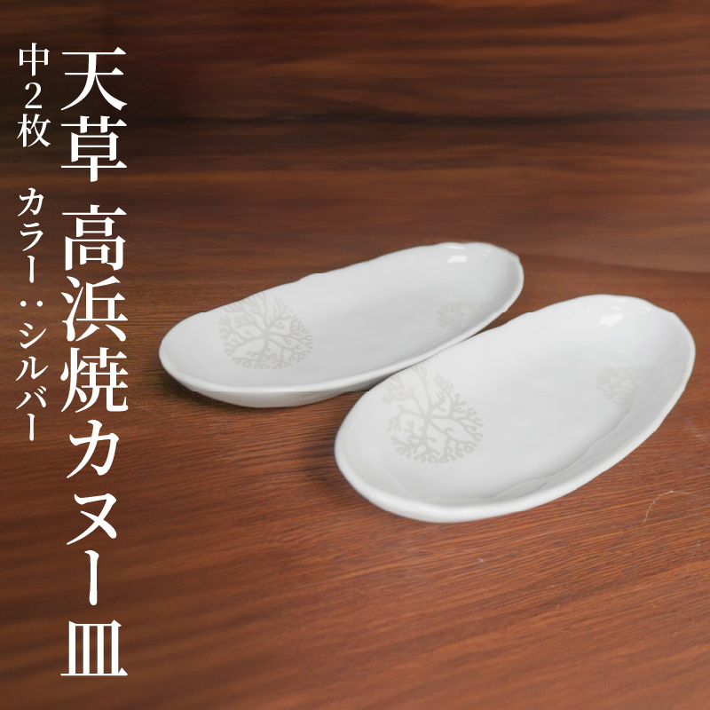 S026-054_天草 高浜焼カヌー皿 中2枚 計2枚入りセット（シルバー） シルバー