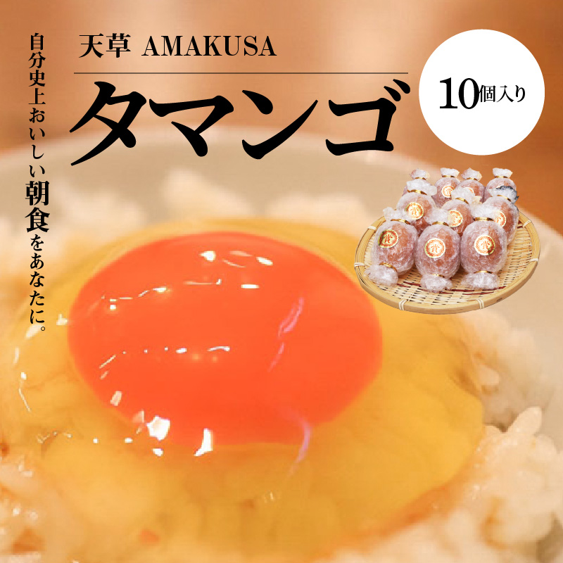 S038-004_天草 タマンゴ 10個 卵